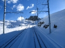 Davos, Lugano, Zermatt 098 (21) * Cog train up for more sledging * 2592 x 1944 * (2.2MB)